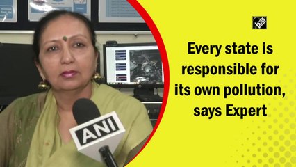 Every state is responsible for its own pollution, says expert