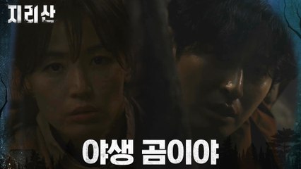 도깨비불이 아니라 곰? 맹수 추격에 갇혀버린 전지현X주지훈