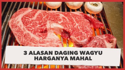 3 Alasan Daging Wagyu Harganya Mahal yang Jarang Diketahui Oleh Publik