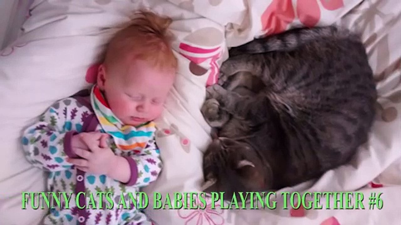 Funny Baby - Cute Baby Funny Video - Funny Cats Compilations