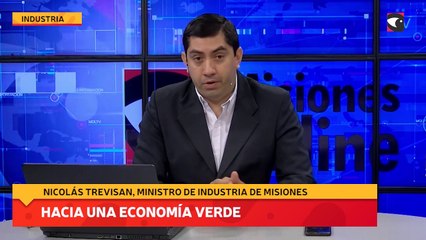Hacía una economía verde