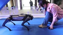 Çin'de 5G  Endüstriyel İnternet Konferansı'nda robot köpek tanıtıldı