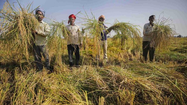 Will BJP win back farmers with the repeal of farm laws?