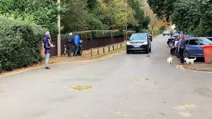 Princess Eugenie arrives at Windsor for son's christening