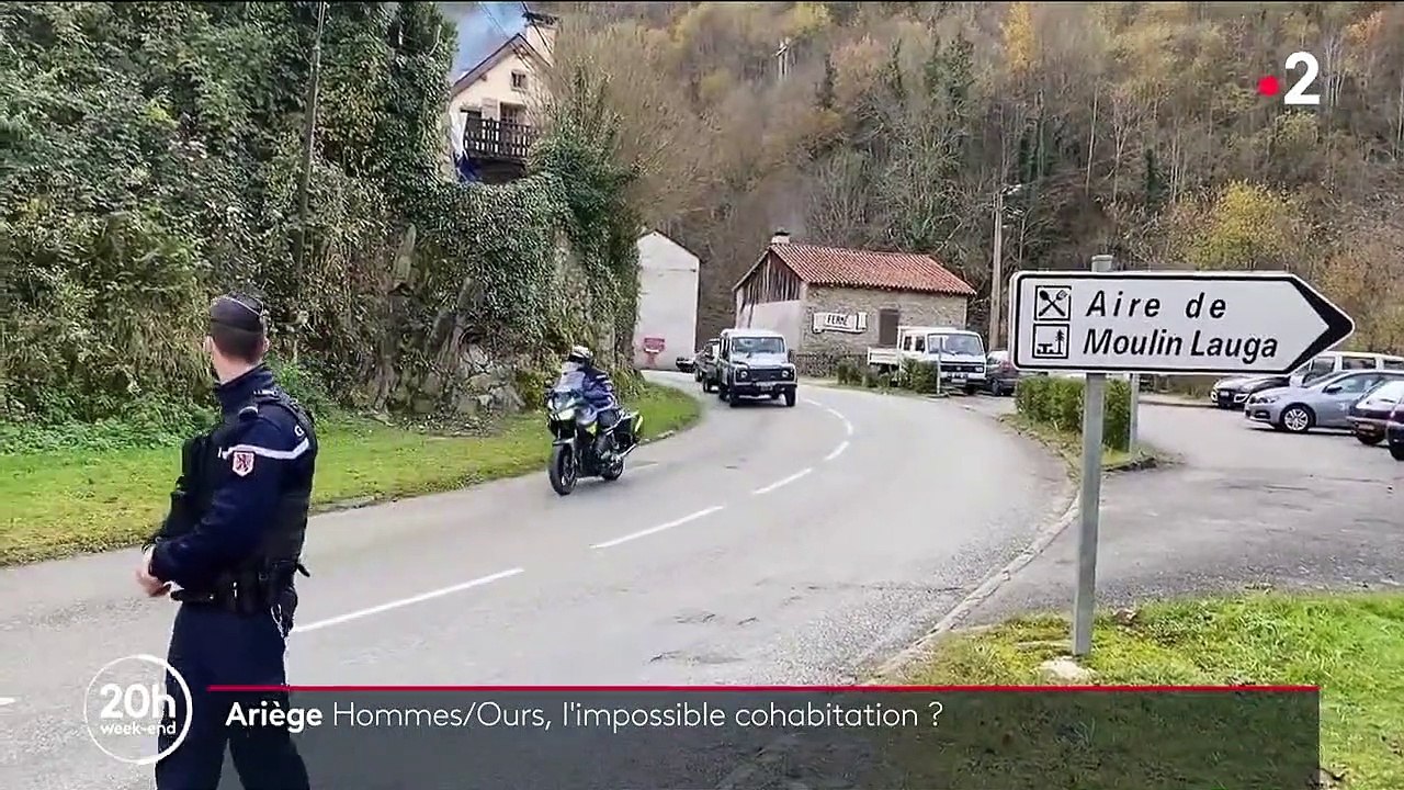 Ariège : après avoir été blessé, un chasseur tue une ourse