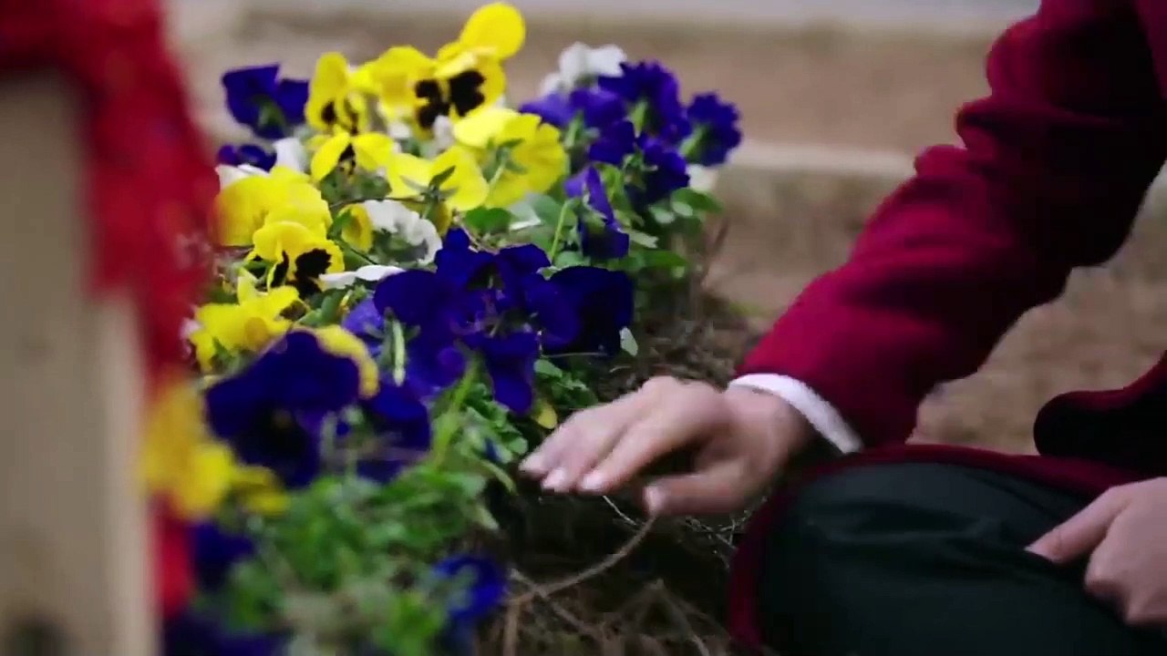 Yargı 10. Bölüm İzle | Kanal D Yargı son bölüm full izle