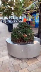 Saturday was a busy day for Christmas shopping on The Moor. Take a walk around with reporter Kian Rains.