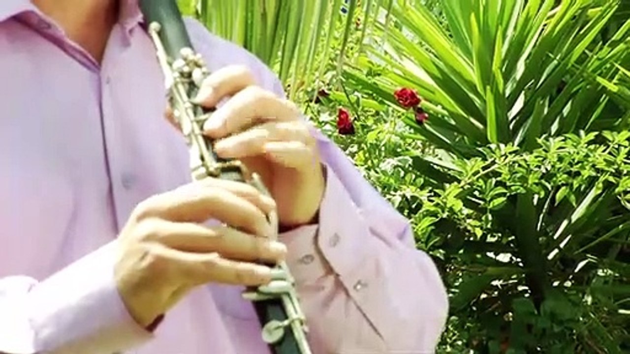 Behar Spahiu Bukuroshe e zallit (Shqipja Master