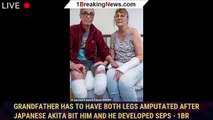 Grandfather has to have BOTH legs amputated after Japanese Akita bit him and he developed seps - 1br