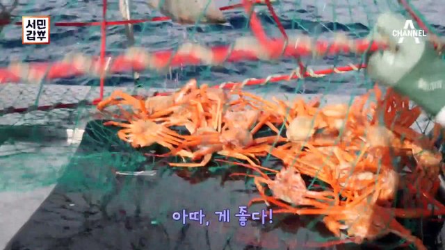 [선공개] 1년 만에 연매출 13억을 달성! 홍게로 갑부가 된 청년이 있다?