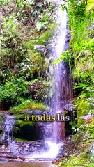 Recibe mi poderoso mensaje en tu corazón para una semana de bendición