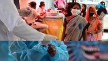 8,488 new COVID-19 cases in India, lowest since May last year