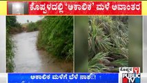 Koppal: Onion, Chilli & Paddy Crops Destroyed Due To Rain