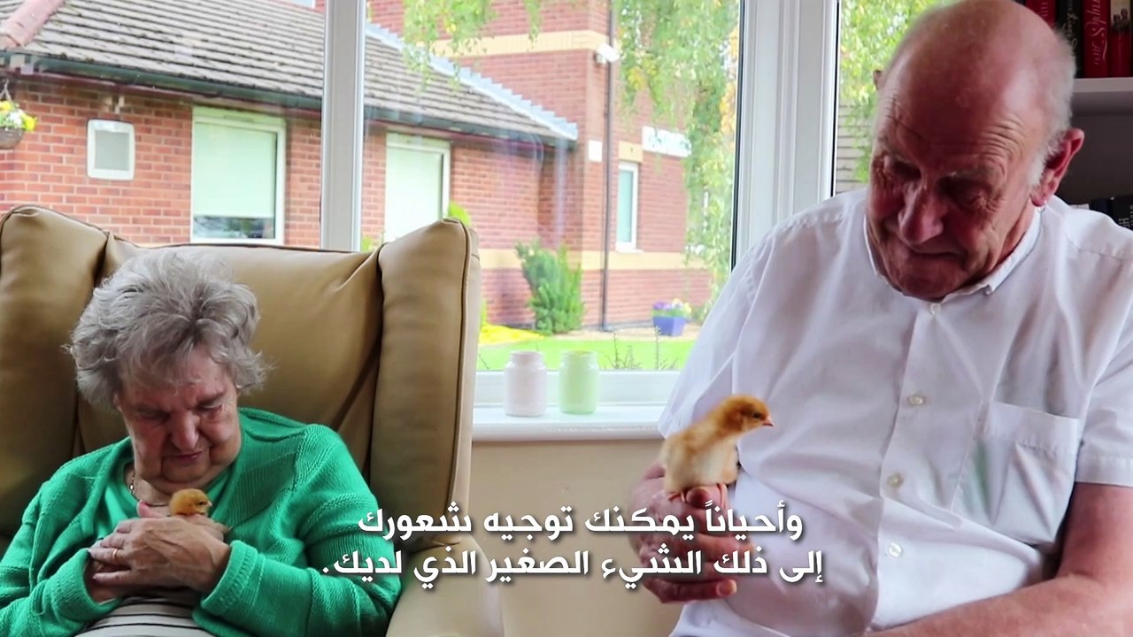 صوص صغير قد يصنع الفارق
