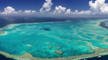 Fenêtre sur les Outre-mer - Polynésie : à la rencontre des jardiniers du corail