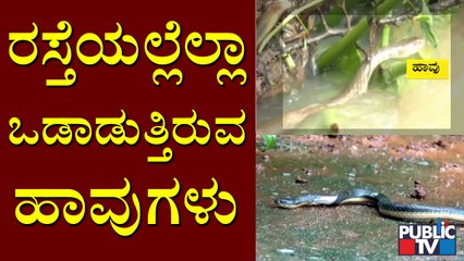 ಸಿಂಗಾಪುರ ಲೇಔಟ್ ಜನರಿಗೆ 'ಹಾವು'ಗಳ ಆತಂಕ | Singapura Layout | Snake