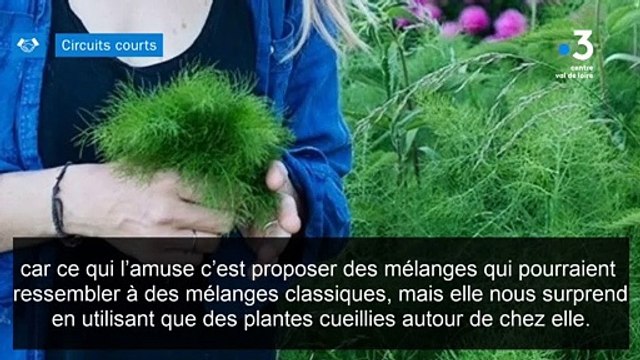 Circuits courts : La cabane à plantes