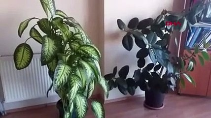 Erzurum'da 4.8 büyüklüğünde deprem