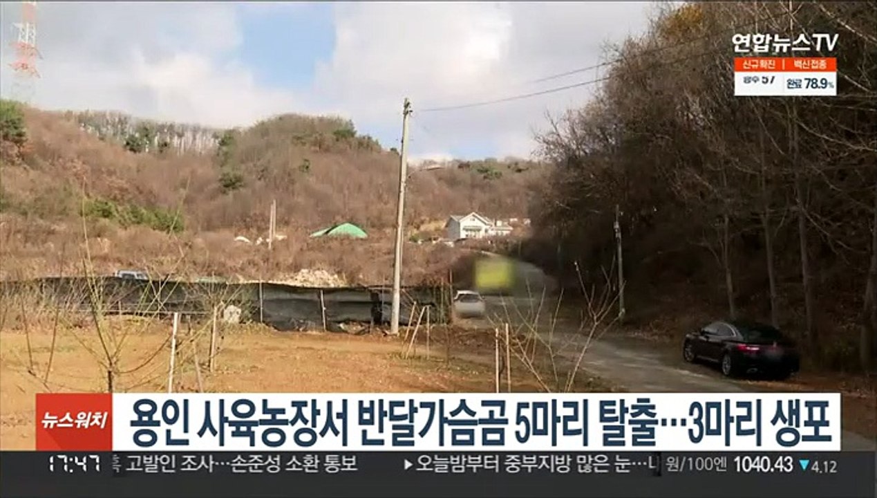 용인 사육농장서 반달가슴곰 5마리 탈출…3마리 생포