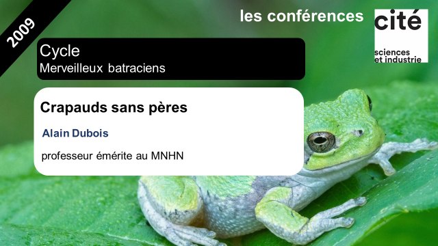 Crapauds sans pères...