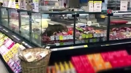 Marketin şarküteri reyonunda bakın ne geziyor! Kavurmaların hepsini yedi