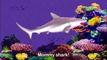 Baby Shark Dance- Pinkfong Sing & Dance - Animal Songs -Different Version