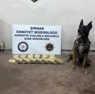 Son dakika haberi... Şırnak'ta terörün finans kaynaklarına operasyon: 34 gözaltı