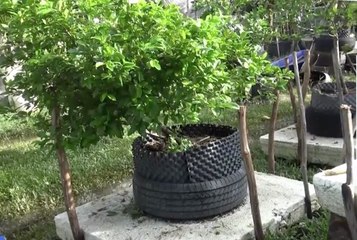 เรื่องพลบค่ำ ช่วงที่ 3 วันจันทร์ที่ 22 พ.ย.64