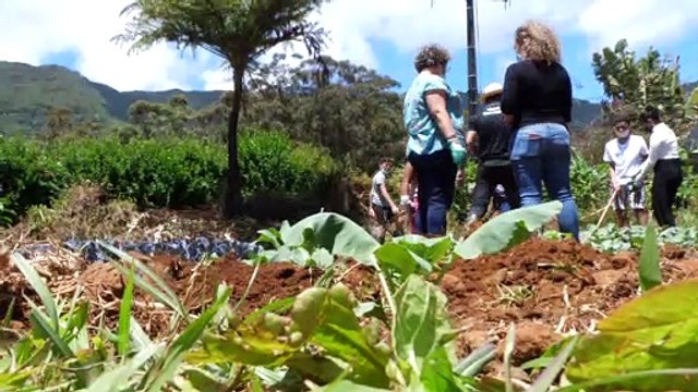 Plaine des Palmistes : une rencontre intergénérationnel