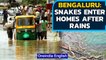 Bengaluru: Snakes enter homes, waterlogging, power outage halts lives | Oneindia News