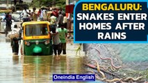 Bengaluru: Snakes enter homes, waterlogging, power outage halts lives | Oneindia News