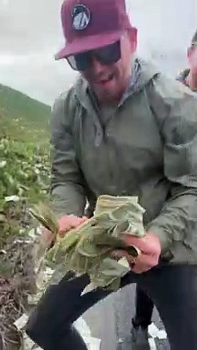 Pluie de billets sur une autoroute américaine - les automobilistes doivent rendre l'argent