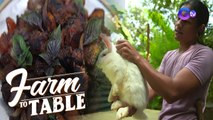 Farm To Table: Skinless longganisa, rabbit meat ang laman!?
