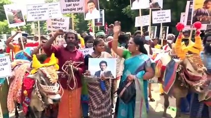 Jai Bhim: பாம்பை தூக்கி போடுவோம்.. ஜாக்கிரதை.. சூர்யாவிற்கு ஆதரவாக குதித்த பழங்குடியின மக்கள்- வைரல்