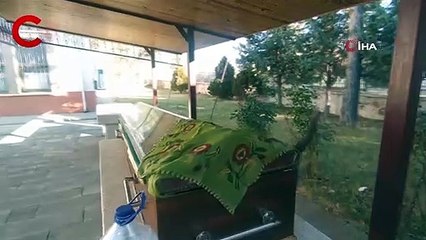 Kedilerin tabut başındaki 'vefa' nöbeti, görenleri şaşırttı