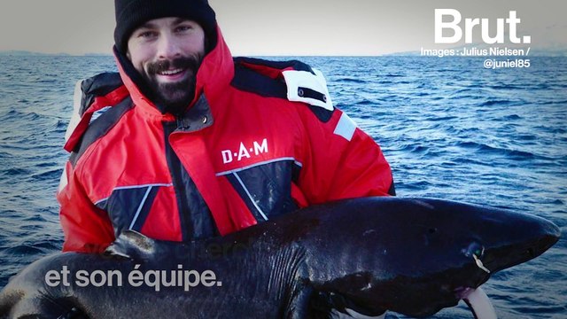 Ce requin peut vivre plusieurs centaines d'années