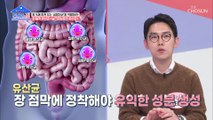 장까지 생존율 UP! 『실크피브로인 유산균』 TV CHOSUN 20211122 방송