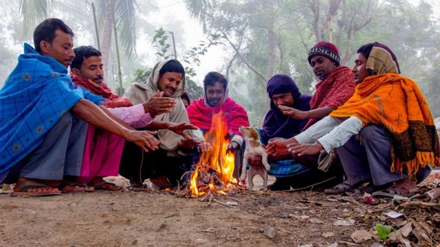 UP to face extreme cold this year! Know expert's views