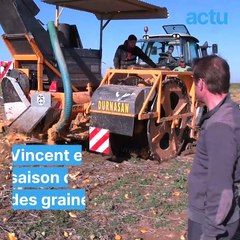 Il produit des graines de courge et du quinoa bio