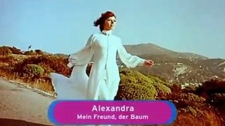 Alexandra - Mein Freund der Baum - Video 360