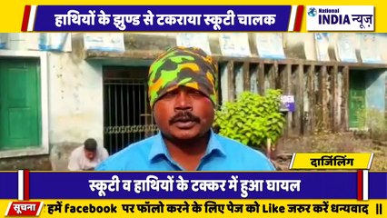 बंगाल के दार्जिलिंग में हाथियों का झुंड से टकराया एक स्कूटी चालक हुआ घायल