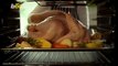 Thanksgiving Pet Safety Tips for a Happy Holiday