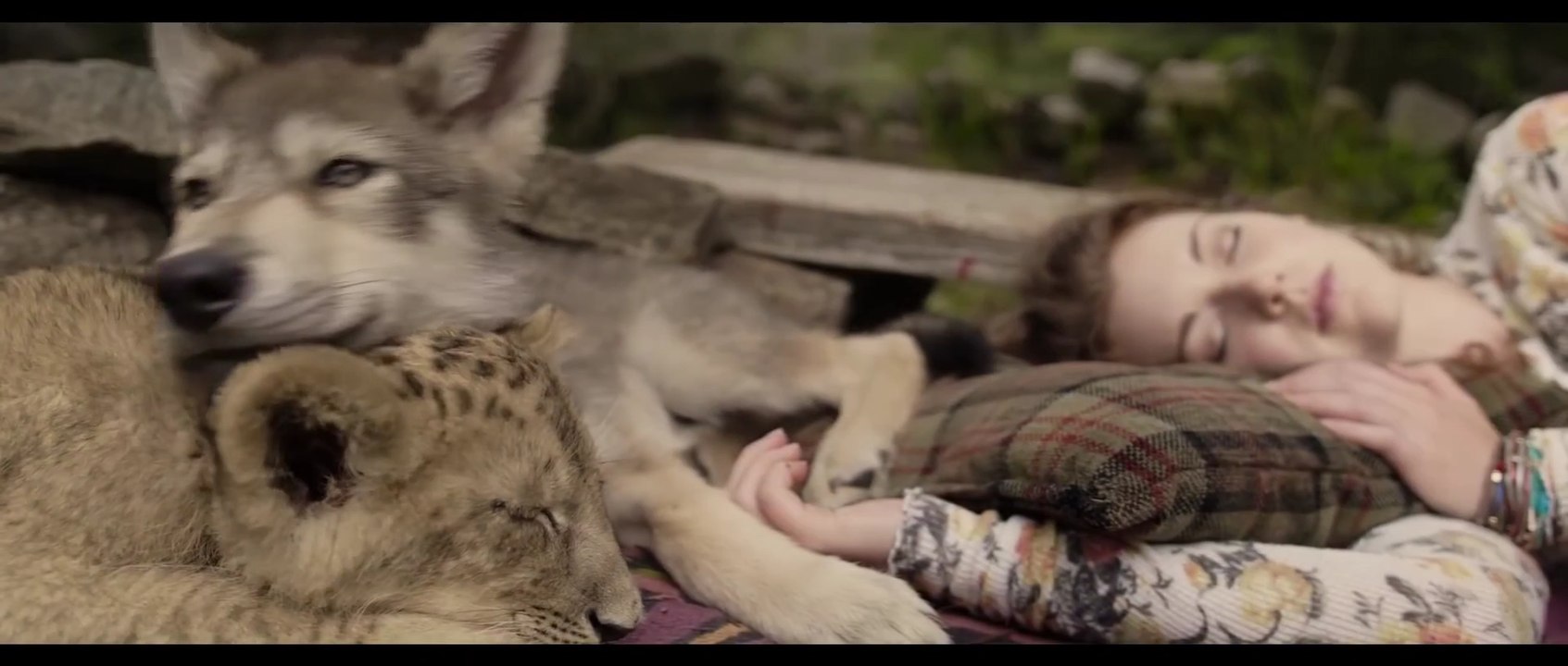 The Wolf and the Lion - Trailer (English) HD