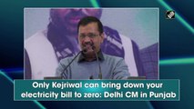 Only Kejriwal can bring down your electricity bill to zero: Delhi CM in Punjab
