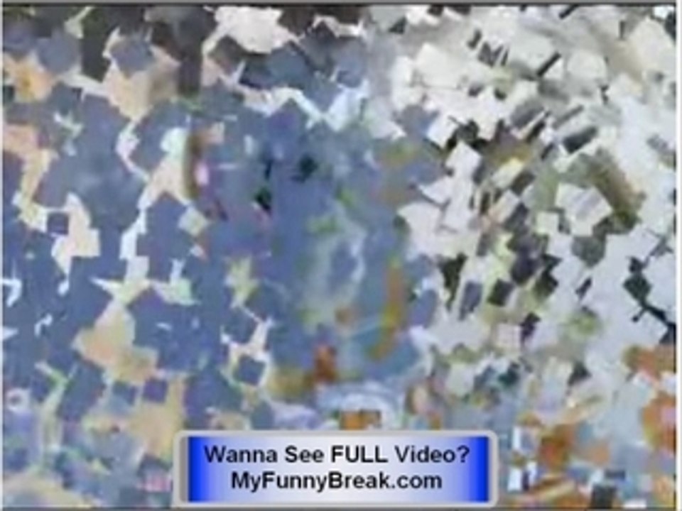 CRAZY -extreme FUNNY dog pics - CHECK IT OUT !!!