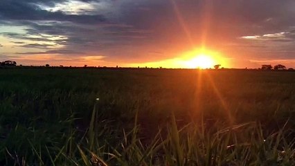 Beautiful Sunset with relaxing sound and fresh