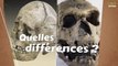 Homo sapiens et homme de Neandertal : quelles sont les différences ?