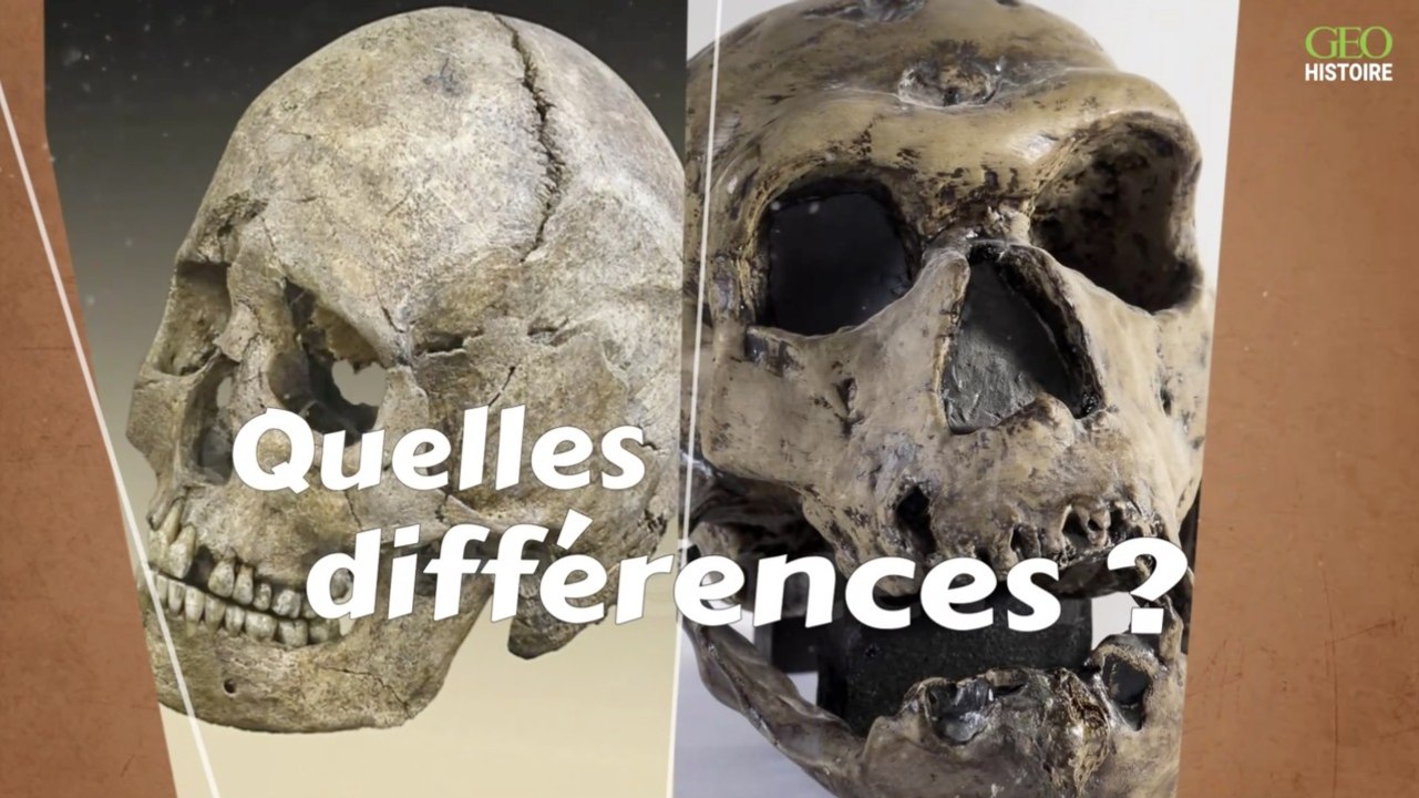 Homo sapiens et homme de Neandertal : quelles sont les différences ?