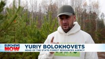 Ukraine and the EU vow to plant three billion trees to fight climate change, but is that enough?