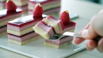 Raspberry Cheesecake _ Cotton Sponge Cake _ Raspberry Jelly